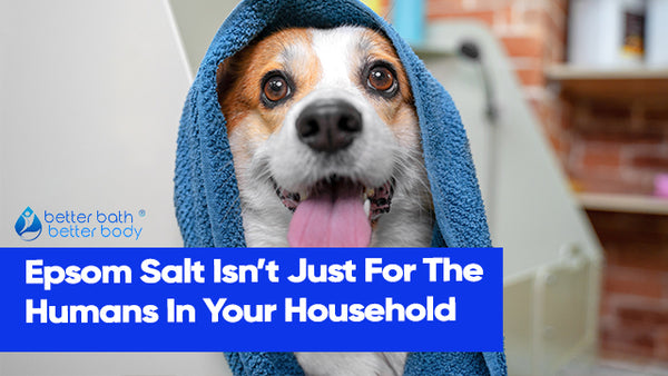 Epsom salt deals for dogs